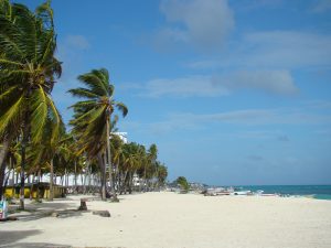 Beach with palm trees, San Andres, Colombia