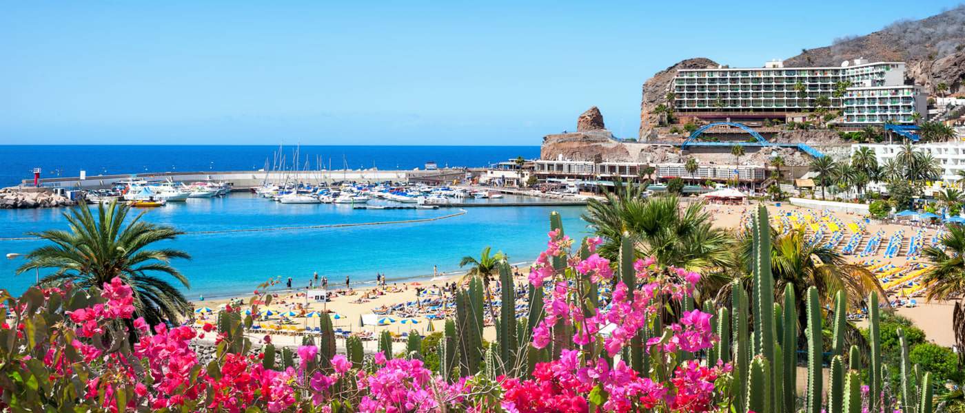 View of Puerto Rico's beach with pink flowers in front. Gran Canaria, Canary Islands, Spain