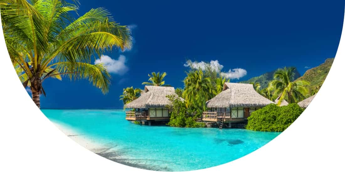 Beach huts and palm trees on the coast in Fiji