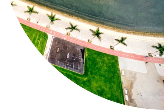 Palm trees in the Bay of Luanda, Angola