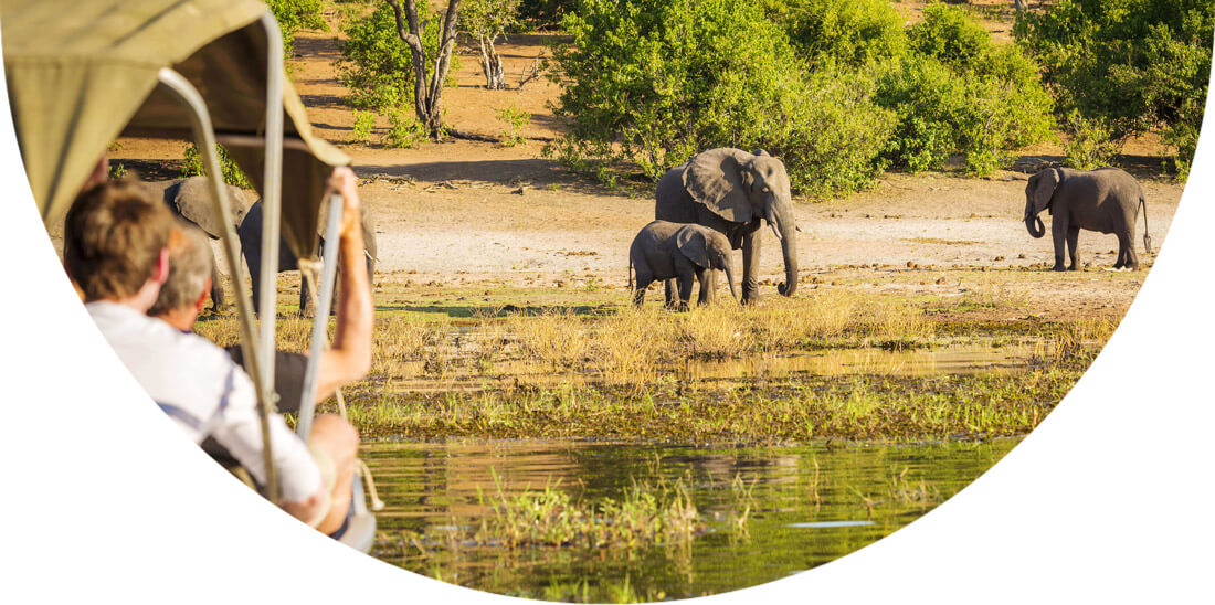 Tourists watching elephants on a safari in Botswana