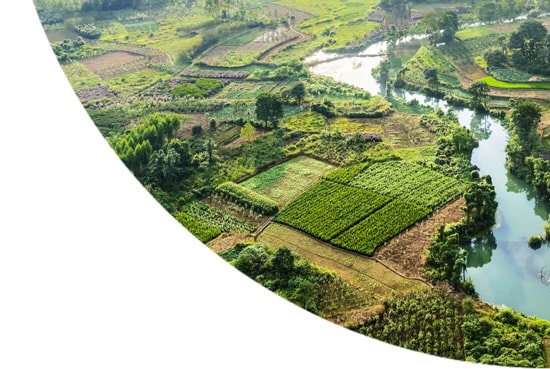 Crops land and water, China