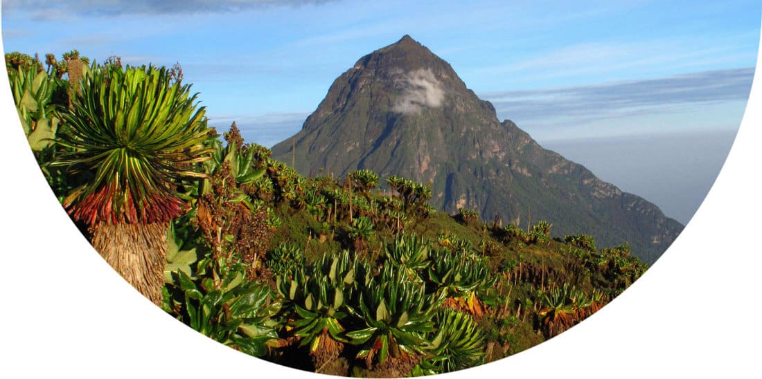 Mountain in the Democratic Republic of the Congo