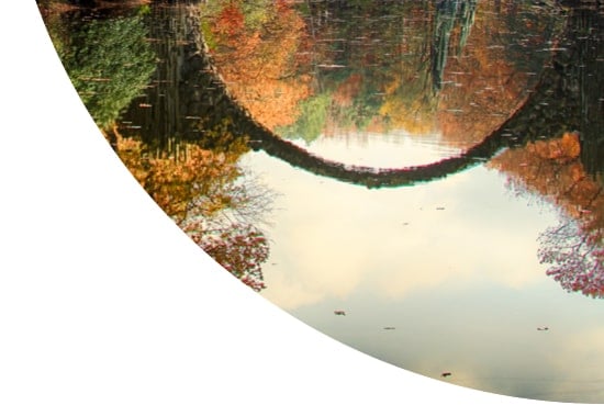 Reflection of the Devil's Bridge, Kromlau Park, Germany