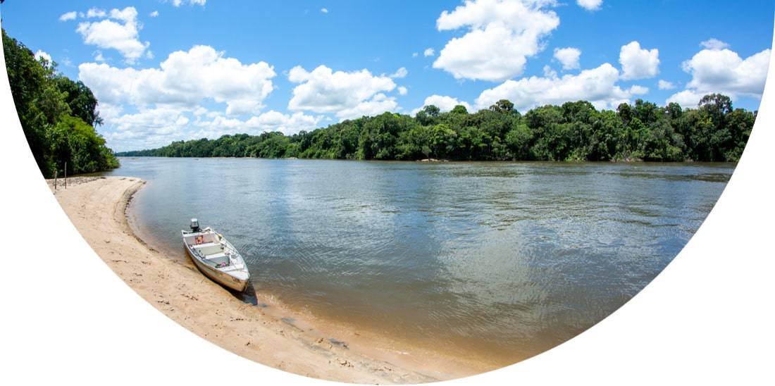 Boat on the shore of a river in Guyana