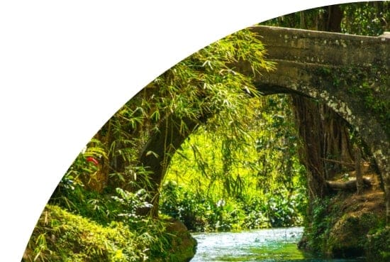 Bridge going over a river in Jamaica