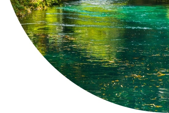 Water reflecting trees in Jamaica