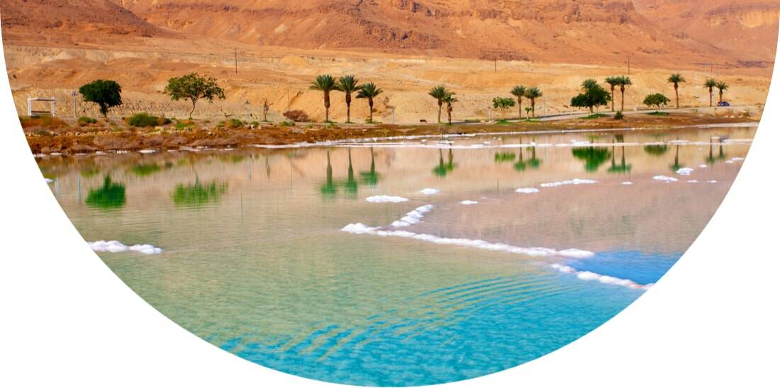 Palm trees by the Dead Sea in Jordan
