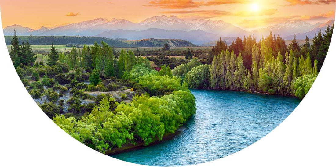 Trees on a bend of the river Clutha in New Zealand