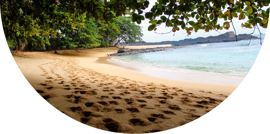 Beach under the shade of a tree in Sao Tome and Principe