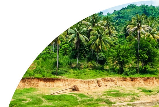 Tree-line in Sri Lanka