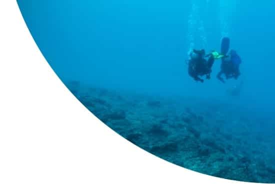 Scuba divers in the Seychelles