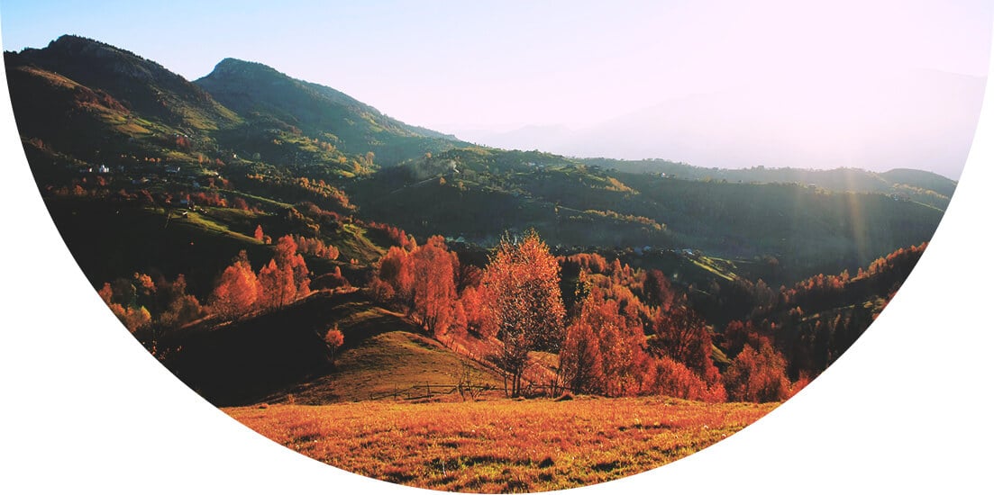 Orange trees and green hills in Africa