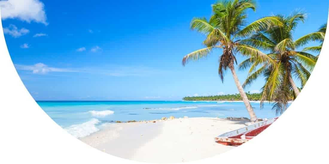 Sandy beach with palm trees in the Caribbean