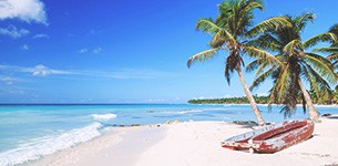 Sandy beach with palm trees in the Caribbean