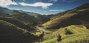 Rice terraces in east Asia