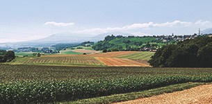 Fields and trees in Europe