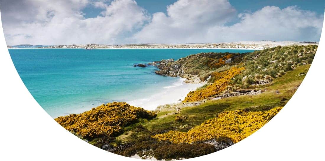 White sand beach of Gypsy Cove on East Falkland in Falkland Islands