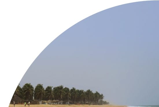 Palm trees on a beach in Togo